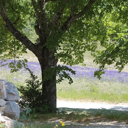 La Honas 4*