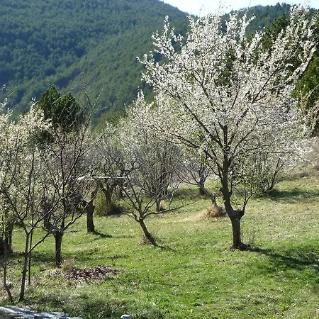 La Honas بيت ضيافة